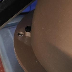 Perchless nested bird house backing plate