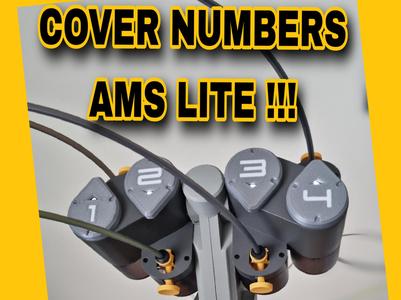 Cover Numbers Ams Lite