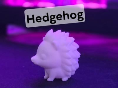 Cute Hedgehog