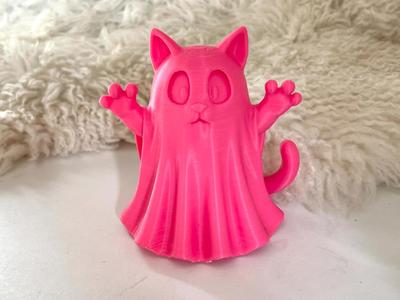 Ghost Cat