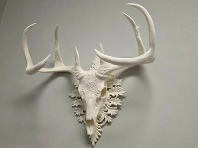 Deer Skull - Elegance - Wall Hang