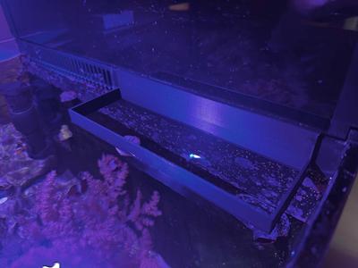 Feeding Ring for Red Sea Max Nano G2 Series