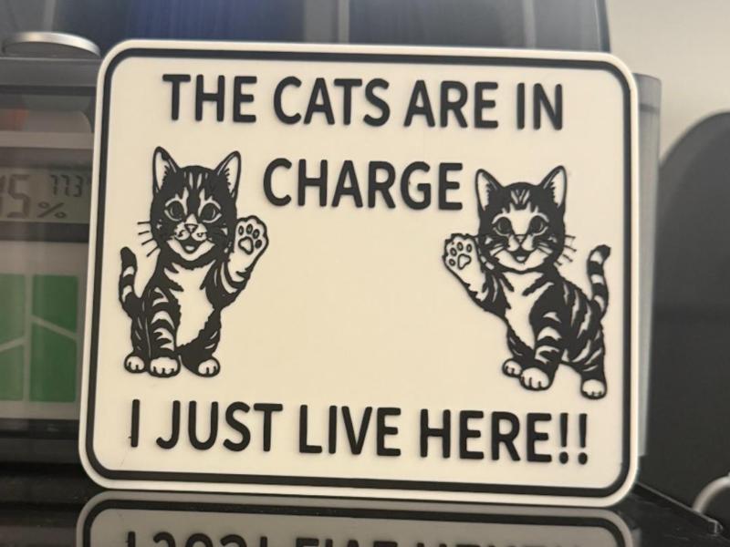 THE CATS ARE IN CHARGE, I JUST LIVE HERE