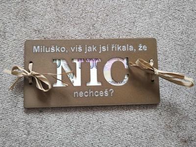 CZ Gift money box "NIC"