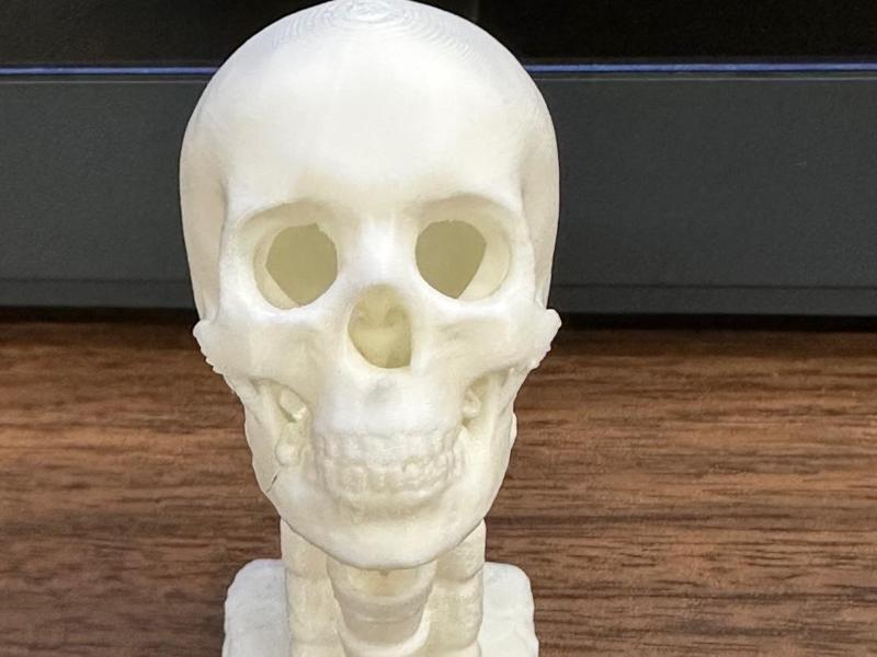 Skull Hide 