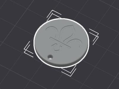 Scouts Trolley Token