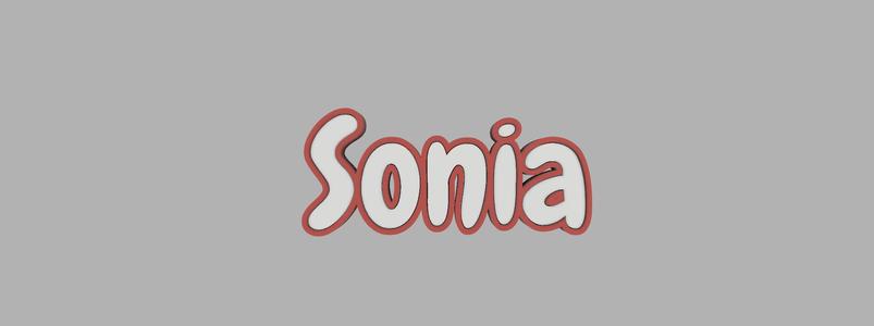 two-tone key ring - Sonia