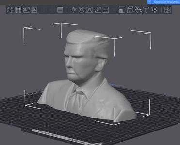 Bust President TRUMP