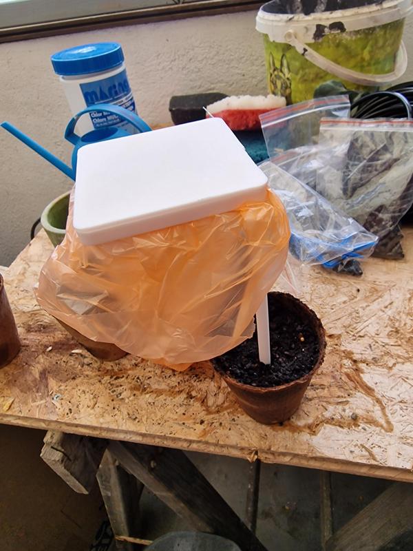 Beach trash can demountable