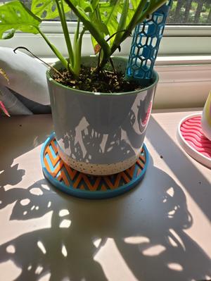 Planter Plate - Interchangeable Insets