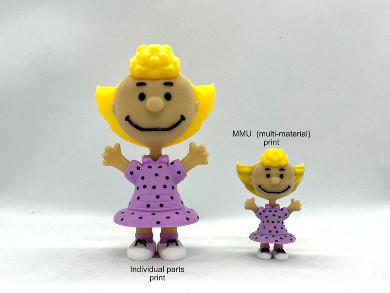 Sally Brown - MMU