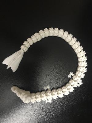 Flexi Wyrmfang Dragon (Print in Place)