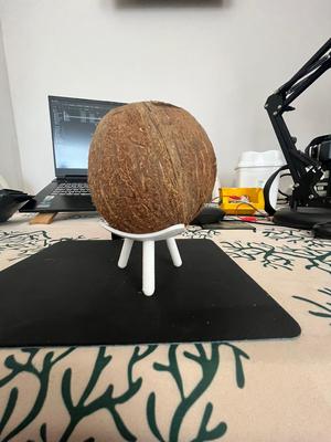 Coconut plant vase