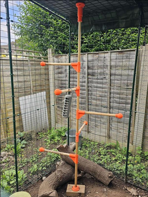 Chicken Pole Dancing