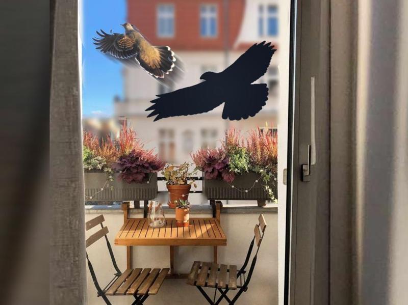 BIRD REPELLENT - Flying Hawk Silhouette