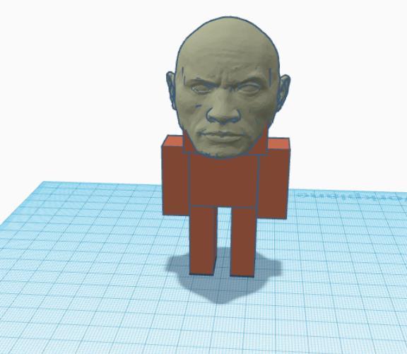 Minecraft Figure_Dwayne