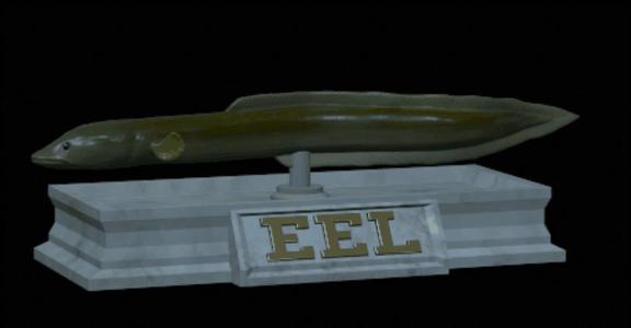 Eel fish model