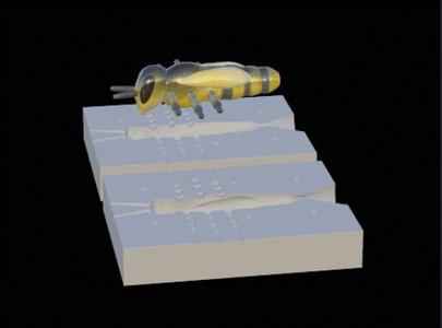 Fishing mold / form 10cm bee lure