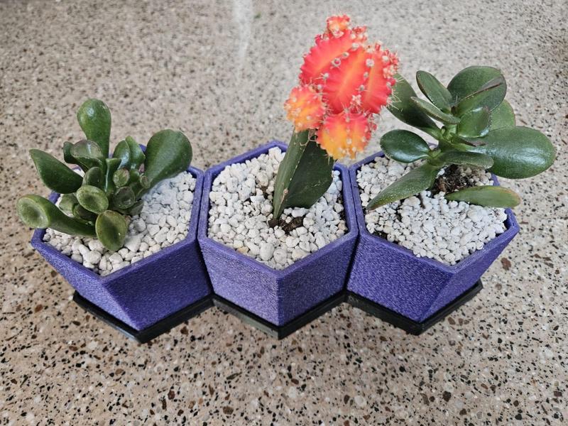 Simple Triple Hexagonal Planter and Tray