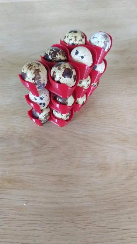 Stackable Quail egg holder (easy print)