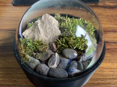 Desktop Terrarium - 100 mm