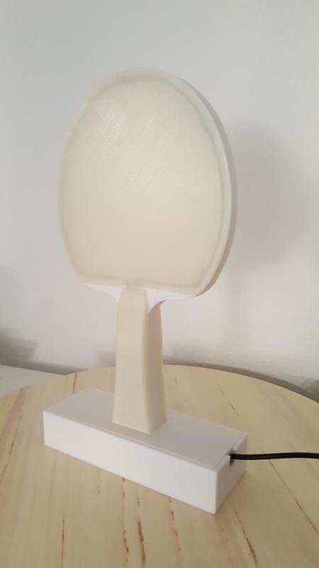 Table Tennis Racket with Light