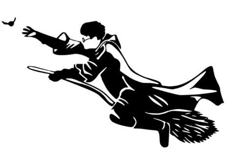 Harry Potter catch the Golden Snitch Wall Art