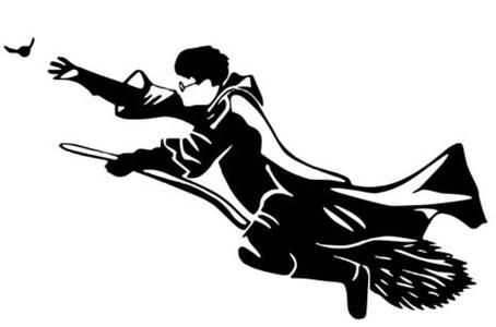 Harry Potter catch the Golden Snitch Wall Art