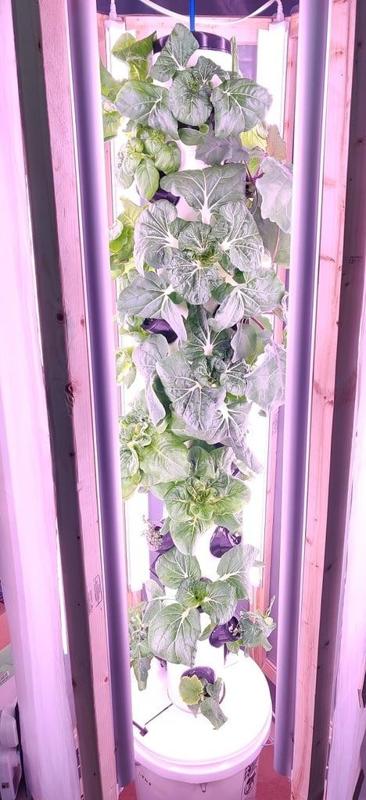 Modular Hydroponics System