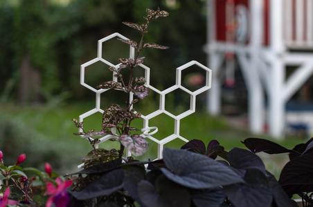 Another Plant Suport