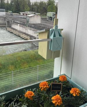 Birdhouse Mount for Balcony