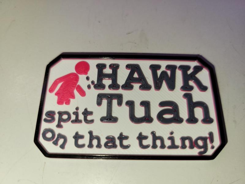 Hawk Tuah Fridge Magnet (Single Filament Printer Friendly)