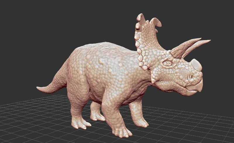 Revised Medusaceratops