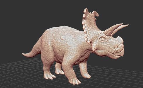 Revised Medusaceratops