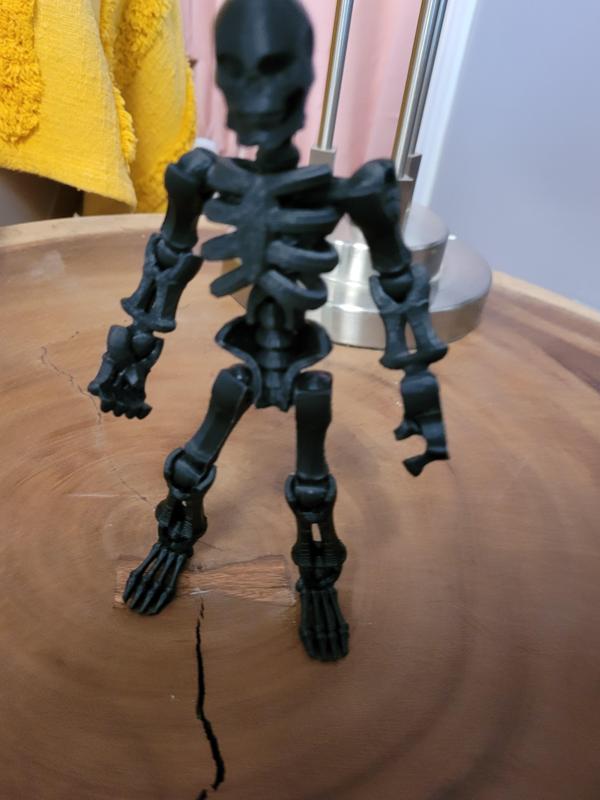 cool skeleton