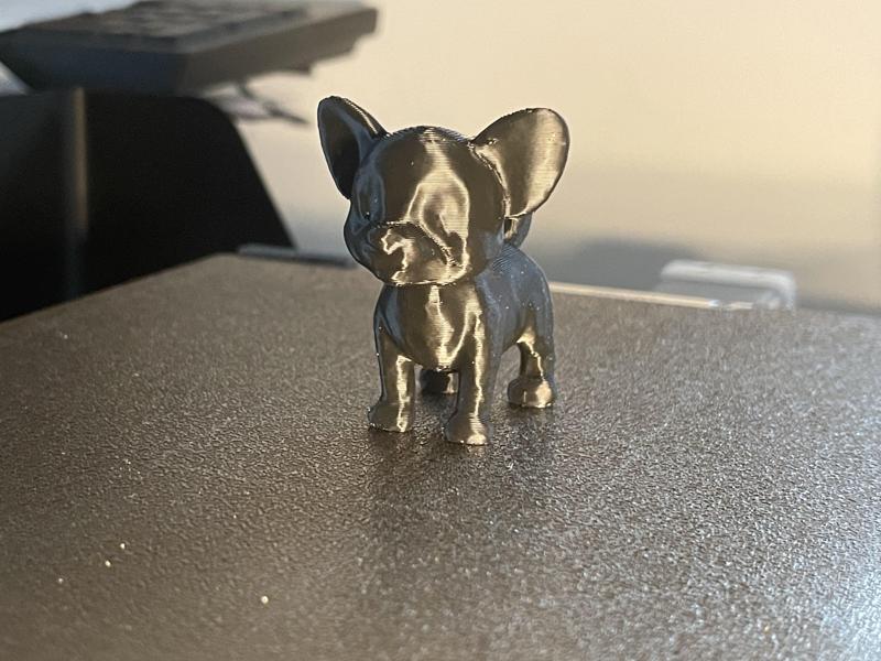 Miniature Small Dog: Fast Print, Cute and Tiny