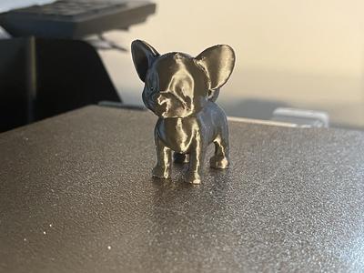 Miniature Small Dog: Fast Print, Cute and Tiny