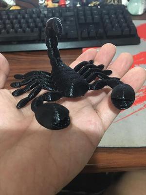 Scorpion