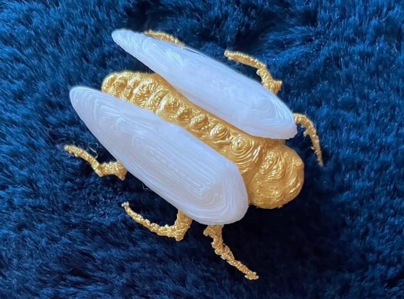 Cicada Charm / Croc Charm