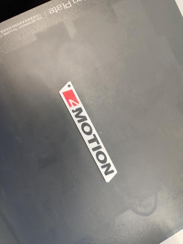 VW 4Motion Keychain Volkswagen