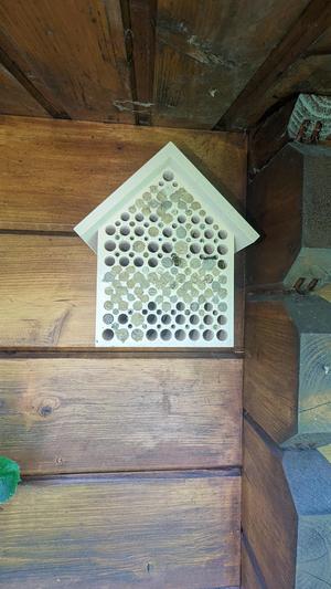 Bee Hotel