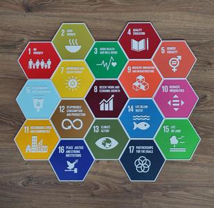 UN SDG Magnet Hexagons