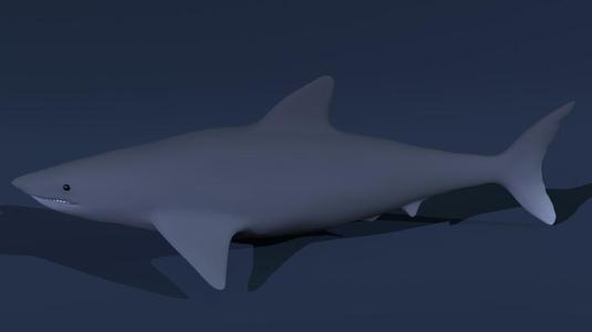 Quality Blender Shark