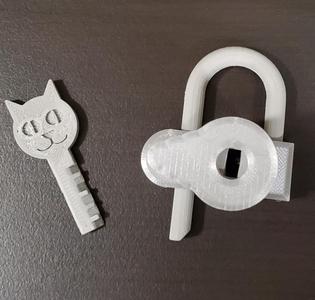 Disk Detainer Padlock