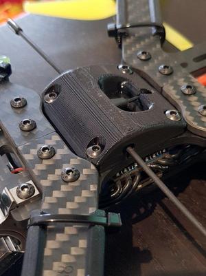 Immortal T Mount
