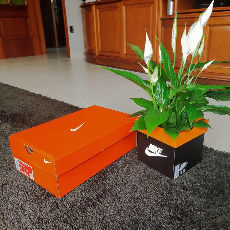 NIKE V2 VASE