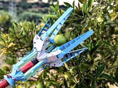 Fruit picker