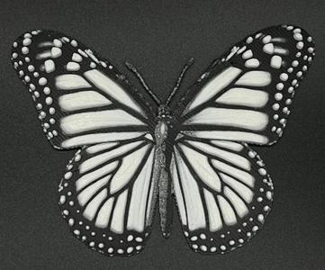 HueForge Monarch Butterfly