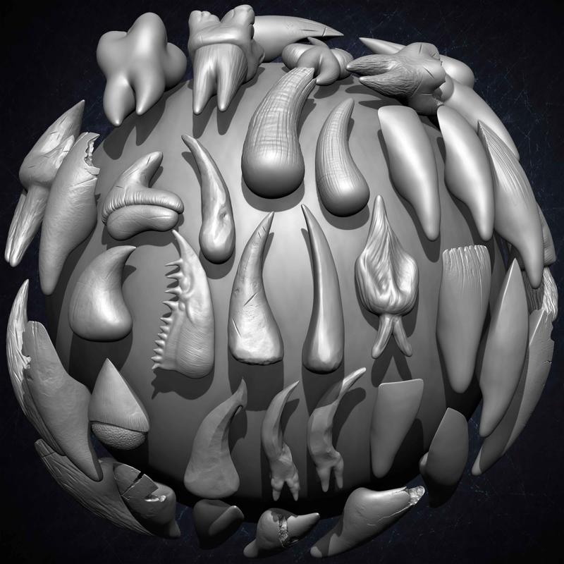 Pack of 40 IMM Teeth Volume 01