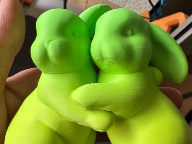 Two young rabbits arm in arm 